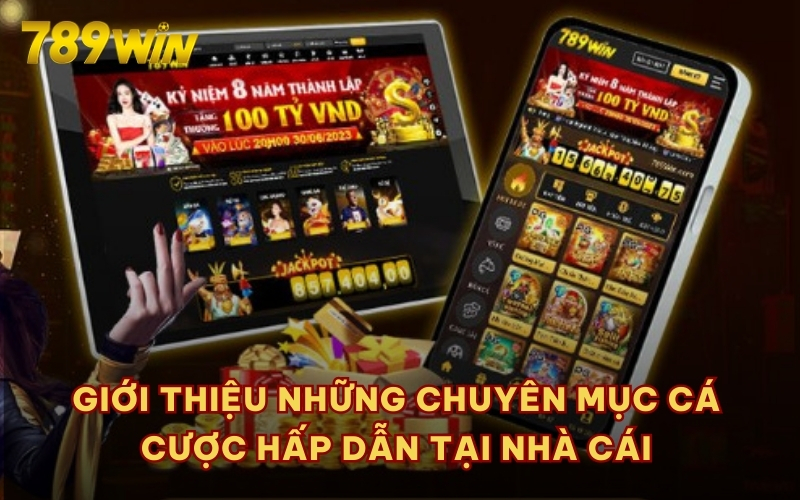 Giới thiệu những chuyên mục cá cược hấp dẫn tại nhà cái