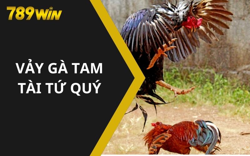 Vảy gà tam tài tứ quý